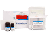 Aspartate Aminotransferase (AST/GOT) Activity Fluorometric Assay Kit - MSE Supplies LLC