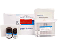 α-Amylase and β-Amylase Activity Assay Kit - MSE Supplies LLC