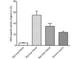 Monoamine Oxidase (MAO) Activity Assay Kit - MSE Supplies LLC