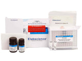 Monoamine Oxidase (MAO) Activity Assay Kit - MSE Supplies LLC