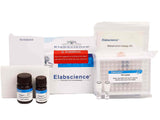 Monoamine Oxidase (MAO) Activity Assay Kit - MSE Supplies LLC