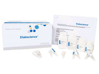 Total Superoxide Dismutase (T-SOD) Activity Assay Kit (Hydroxylamine Method) - MSE Supplies LLC