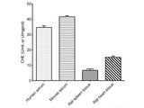 Cholinesterase (CHE) Activity Assay Kit - MSE Supplies LLC