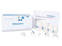 Hydroxyproline (Hyp) Colorimetric Assay Kit (Alkali Hydrolysis Method) - MSE Supplies LLC