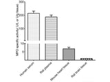 Myeloperoxidase (MPO) Activity Assay Kit - MSE Supplies LLC