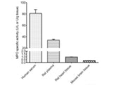 Myeloperoxidase (MPO) Activity Assay Kit - MSE Supplies LLC