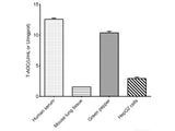 Total Antioxidant Capacity (T-AOC) Colorimetric Assay Kit - MSE Supplies LLC