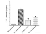 Ca2+-ATPase Activity Assay Kit - MSE Supplies LLC