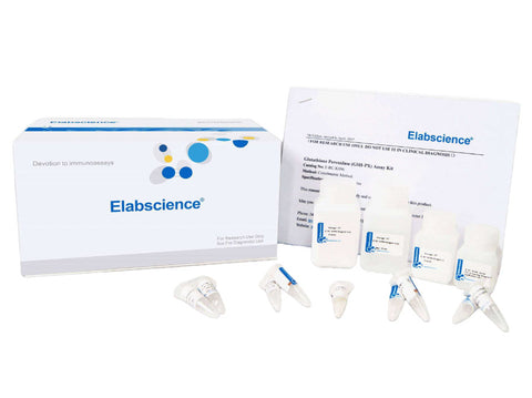 Ca2+-ATPase Activity Assay Kit - MSE Supplies LLC