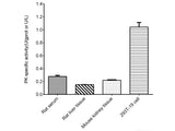 Pyruvate Kinase (PK) Activity Assay Kit - MSE Supplies LLC