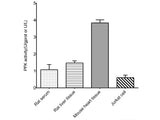 Phosphofructokinase (PFK) Activity Assay Kit - MSE Supplies LLC