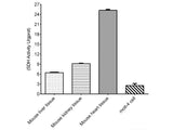 Succinate Dehydrogenase (SDH) Activity Assay Kit - MSE Supplies LLC