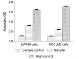 Lactate Dehydrogenase (LDH) Cytotoxicity Colorimetric Assay Kit - MSE Supplies LLC