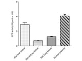 Lipase (LPS) Activity Assay Kit - MSE Supplies LLC