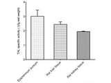 Tyrosine Ammonia-lyase (TAL) Activity Assay Kit - MSE Supplies LLC