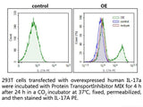 Protein Transport Inhibitor MIX - MSE Supplies LLC