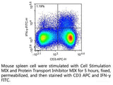 Cell Stimulation and Protein Transport Inhibitor Kit - MSE Supplies LLC