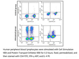 Cell Stimulation and Protein Transport Inhibitor Kit - MSE Supplies LLC