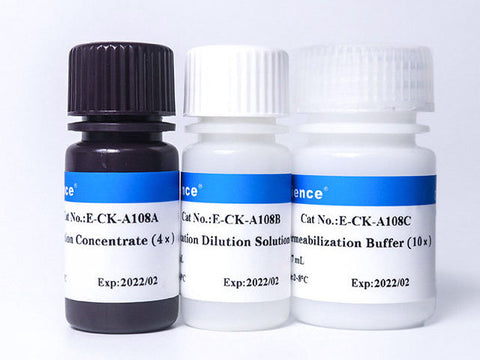 Foxp3/Transcription Factor Staining Kit - MSE Supplies LLC