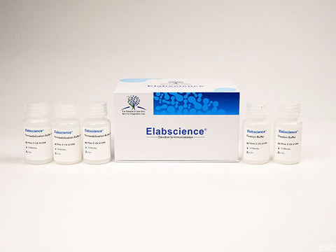 Intracellular Fixation/Permeabilization Buffer Kit - MSE Supplies LLC