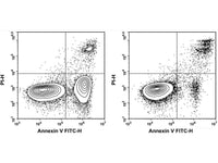 Annexin V-FITC Azide-Free Lyophilized Powder - MSE Supplies LLC