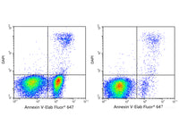 Annexin V-Elab Fluor® 647 Azide-Free Lyophilized Powder - MSE Supplies LLC