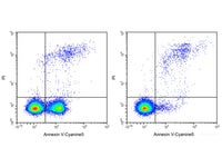 Annexin V-Cyanine5 Reagent