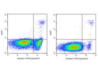 Annexin V-PE/Cyanine5.5 Reagent