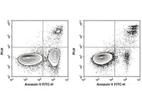 Annexin V-FITC/PI Apoptosis Kit - MSE Supplies LLC