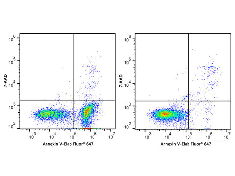 Annexin V-Elab Fluor® 647/7-AAD Apoptosis Kit - MSE Supplies LLC