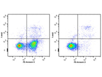 Annexin V-PE/7-AAD Apoptosis Kit - MSE Supplies LLC