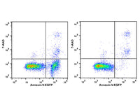 Annexin V-EGFP/7-AAD Apoptosis Kit - MSE Supplies LLC