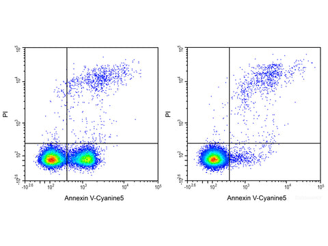 Annexin V-Cyanine5/PI Apoptosis Kit - MSE Supplies LLC