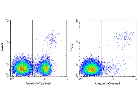 Annexin V-Cyanine5/7-AAD Apoptosis Kit - MSE Supplies LLC