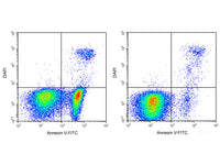 Annexin V-FITC/DAPI Apoptosis Kit - MSE Supplies LLC