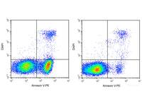 Annexin V-PE/DAPI Apoptosis Kit - MSE Supplies LLC