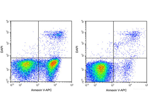 Annexin V-APC/DAPI Apoptosis Kit - MSE Supplies LLC