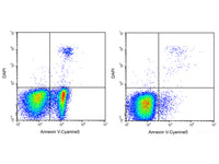 Annexin V-Cyanine5/DAPI Apoptosis Kit - MSE Supplies LLC