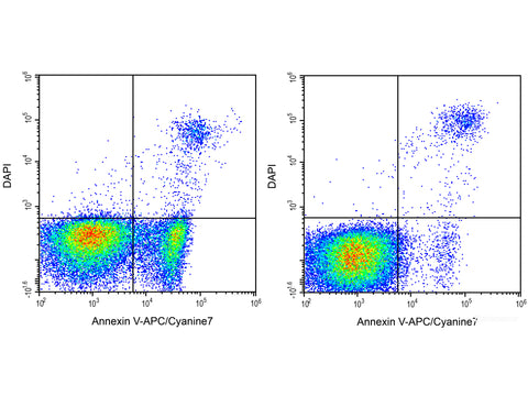 Annexin V-APC/Cyanine7/DAPI Apoptosis Kit - MSE Supplies LLC