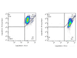 Mitochondrial Membrane Potential Assay Kit (with JC-1) - MSE Supplies LLC