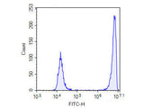 One-step TUNEL In Situ Apoptosis Kit (Green, FITC) - MSE Supplies LLC