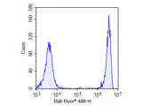 One-step TUNEL In Situ Apoptosis Kit (Green, Elab Fluor® 488) - MSE Supplies LLC