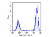 One-step TUNEL In Situ Apoptosis Kit (Red, Elab Fluor® 647) - MSE Supplies LLC