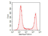 One-step TUNEL In Situ Apoptosis Kit (Red, Elab Fluor® 555) - MSE Supplies LLC