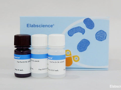 MTT Cell Proliferation and Cytotoxicity Assay Kit - MSE Supplies LLC