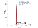 Cell Cycle Assay Kit (Red Fluorescence) - MSE Supplies LLC