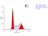 Cell Cycle Assay Kit (Blue Fluorescence) - MSE Supplies LLC