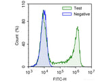 E-Click EdU Cell Proliferation Flow Cytometry Assay Kit (Green, FITC) - MSE Supplies LLC