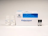 Caspase 1 Activity Assay Kit (Colorimetric Method) - MSE Supplies LLC