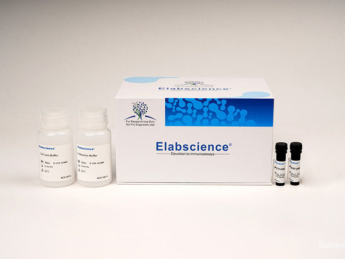 Caspase 9 Activity Assay Kit (Colorimetric Method)– MSE Supplies LLC